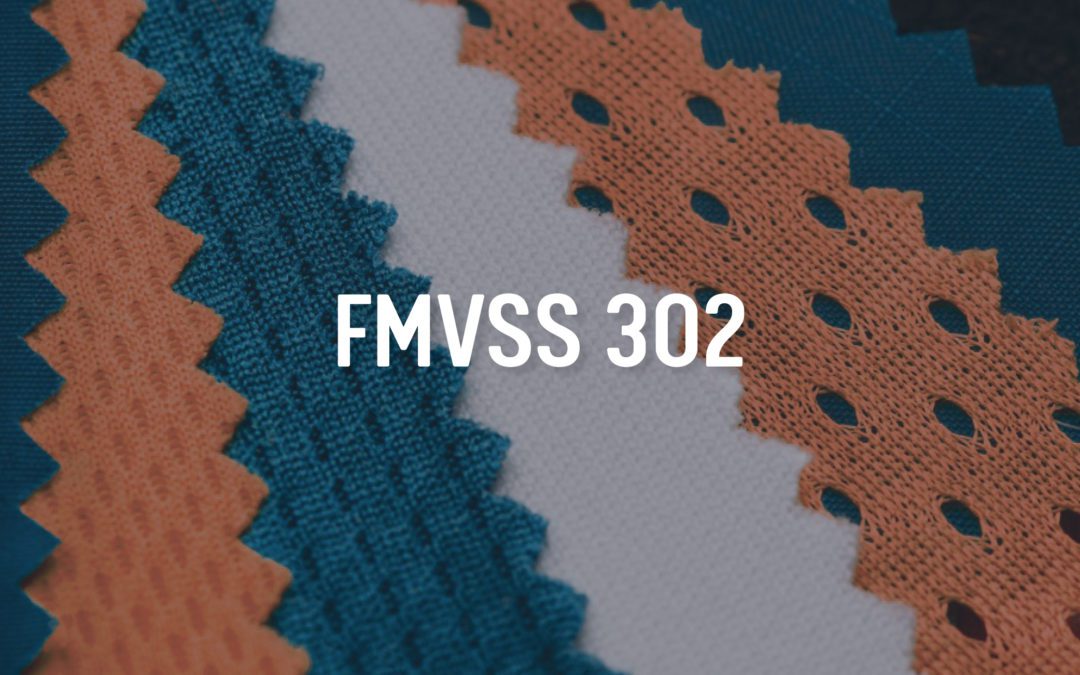 Federal Motor Vehicle Safety Standard 302