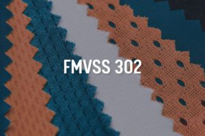 Federal Motor Vehicle Safety Standard 302