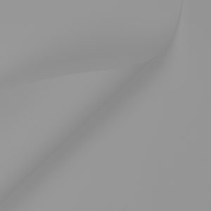  Silver C