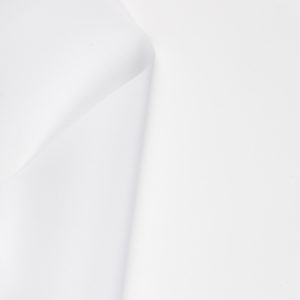 75 Denier Polyester Taffeta - Coated