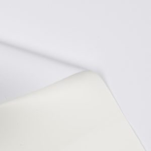 Mid-Weight Polyester Taslan, Microporous Coating
