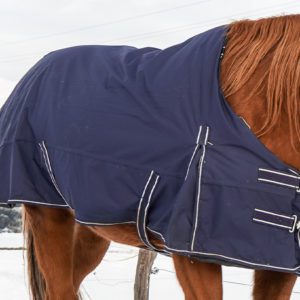 Equestrian Fabric