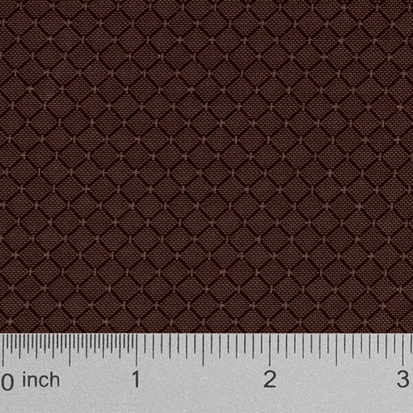 100539 brown back