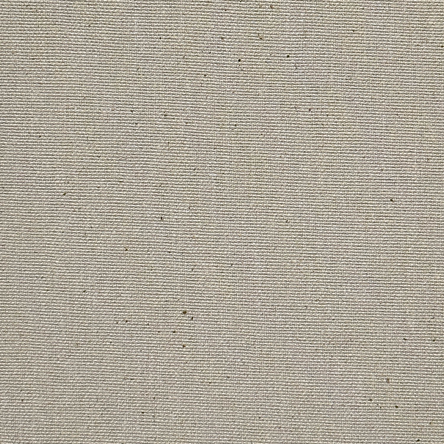 PRLGY B 100050 prlgy b