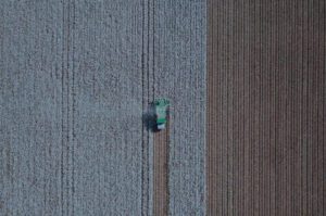 Factors That Influence Cotton Quality