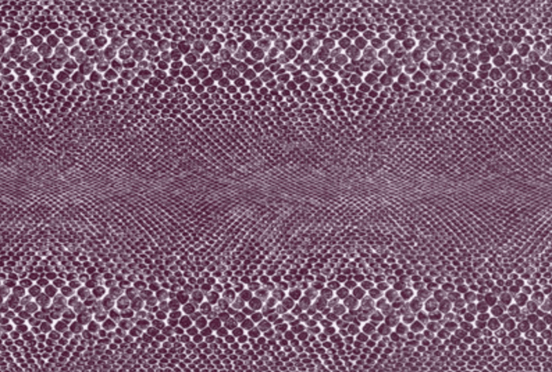 TRP514-01 Printed Fabric