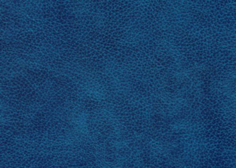 SCP487-59 Printed Fabric