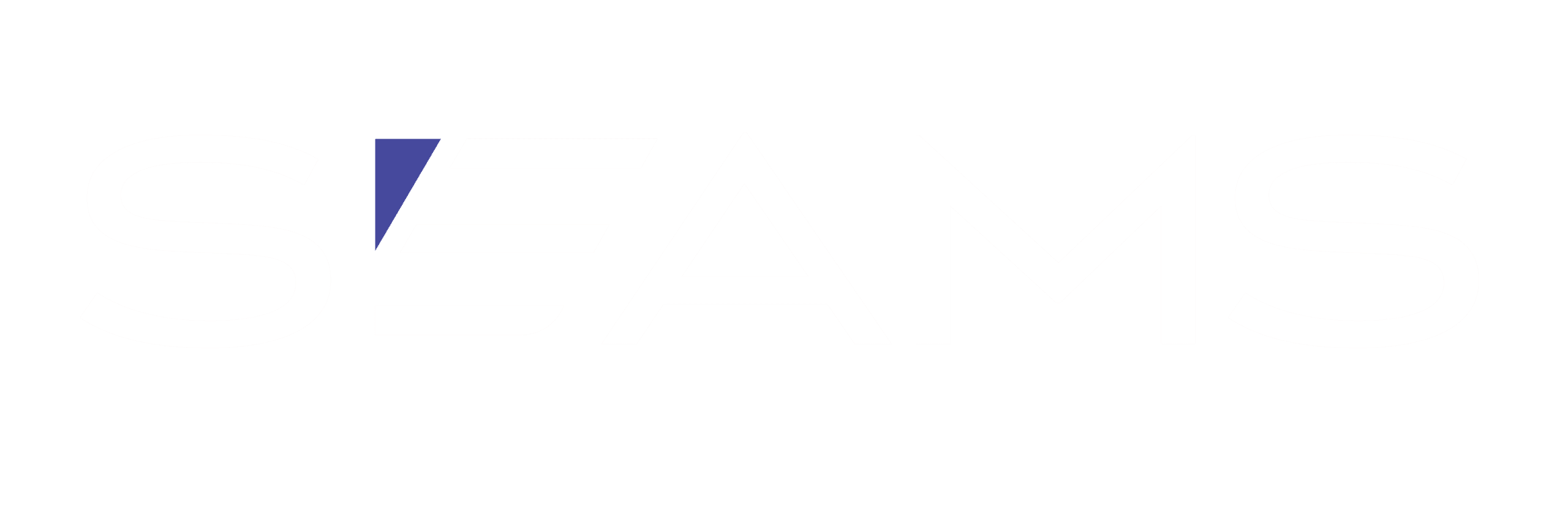 SEAMS Cropped Hi Def Logo 